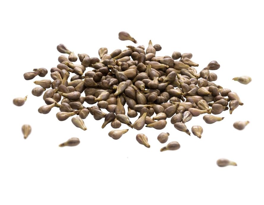 Varikonska krema sadrži ulje sjemenki grožđa